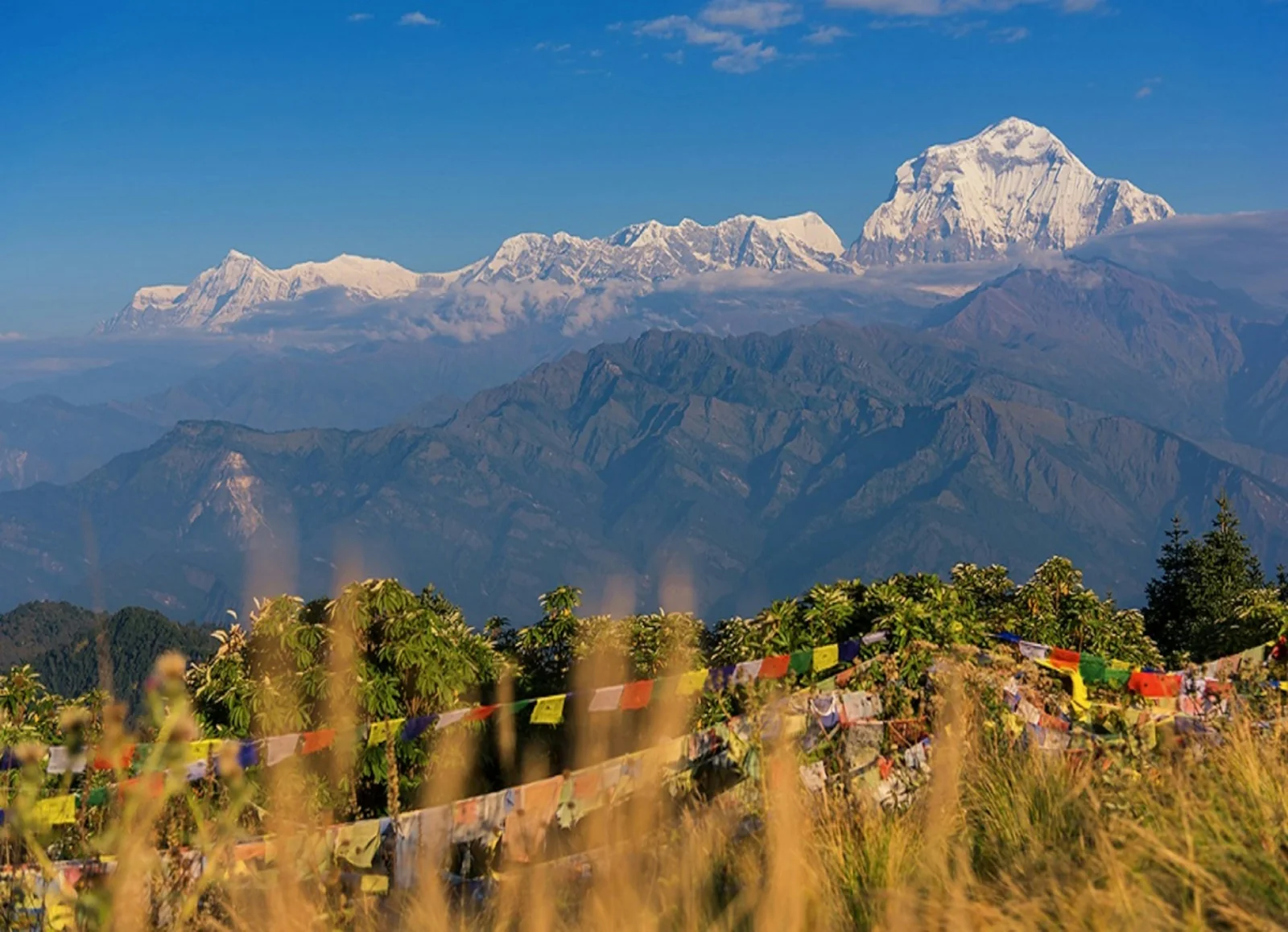 Zonsopgangszicht vanaf Poon Hill over de Himalaya-pieken Annapurna en Dhaulagiri